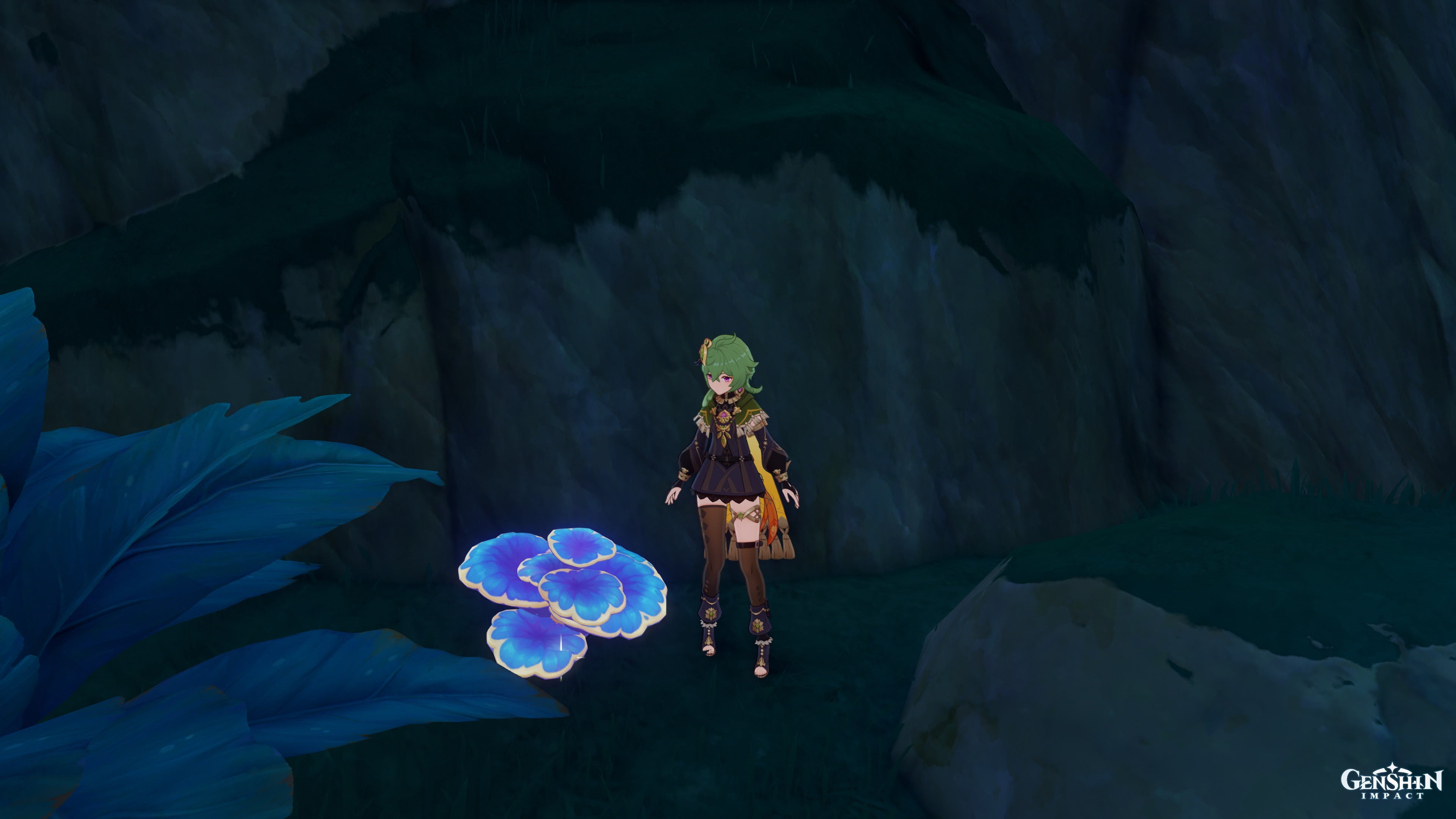 Genshin Impact Rukkashava Mushroom locations and Rukkashava farming